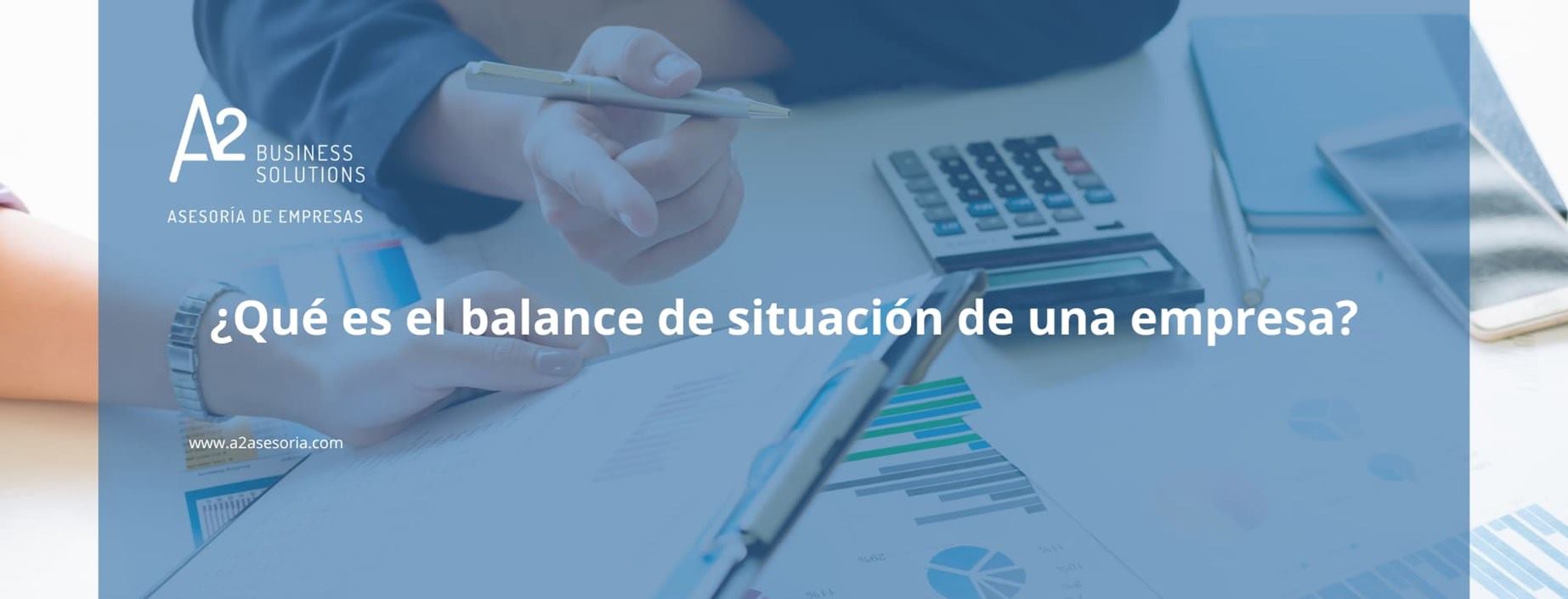 balance de situacion leon